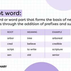 The root word dorm means