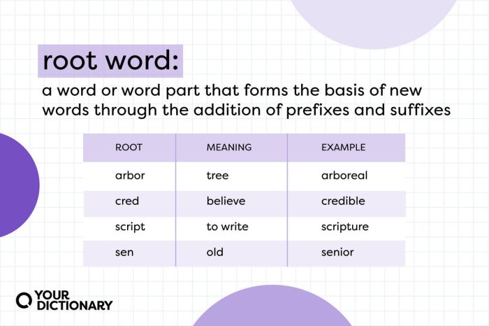 The root word dorm means