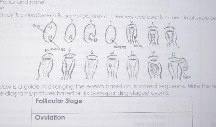 Pogil membrane mechanism mechanisms