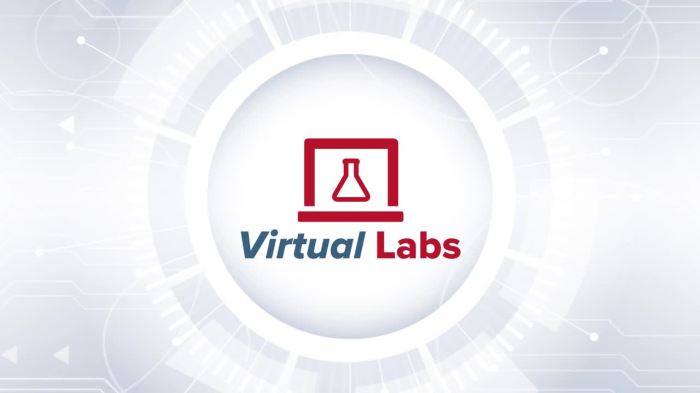 Mcgraw hill connect virtual labs answers