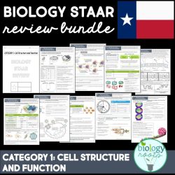 Staar reporting category 1 cell structure and function