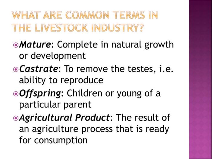 Basic livestock terminology word search answer key