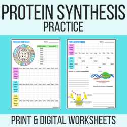 Introduction to protein synthesis webquest answer key